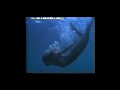 Making of Tonno Mareblu (underwater cut scenes)