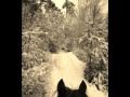 Gedicht - Winternacht (Gottfried Keller)