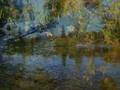 The Derwent Valley - Tasmanias best kept secret