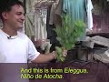 Interview with an Herbalist on Location in Cuba - Indianapolis Museum of Art