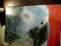 videos de Minha Arte