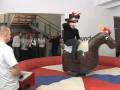 Neil Calderwood - Wunderman rodeo