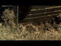Doe, Jane Doe, Jane