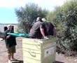 WheelyBin Bus 2(Crash Test Improved)