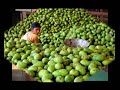 2_Women Workers ( International Women\