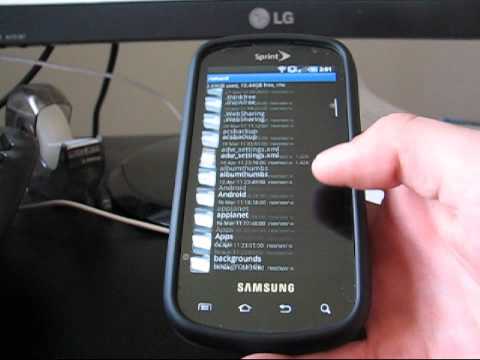 how to locate cgi-bin directory
