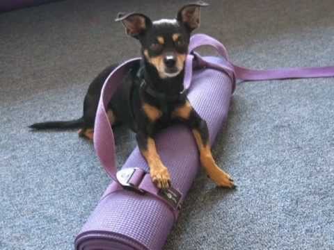 how to fasten a yoga strap