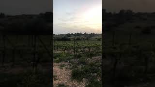 قرية دير نخّاس قضاء الخليل