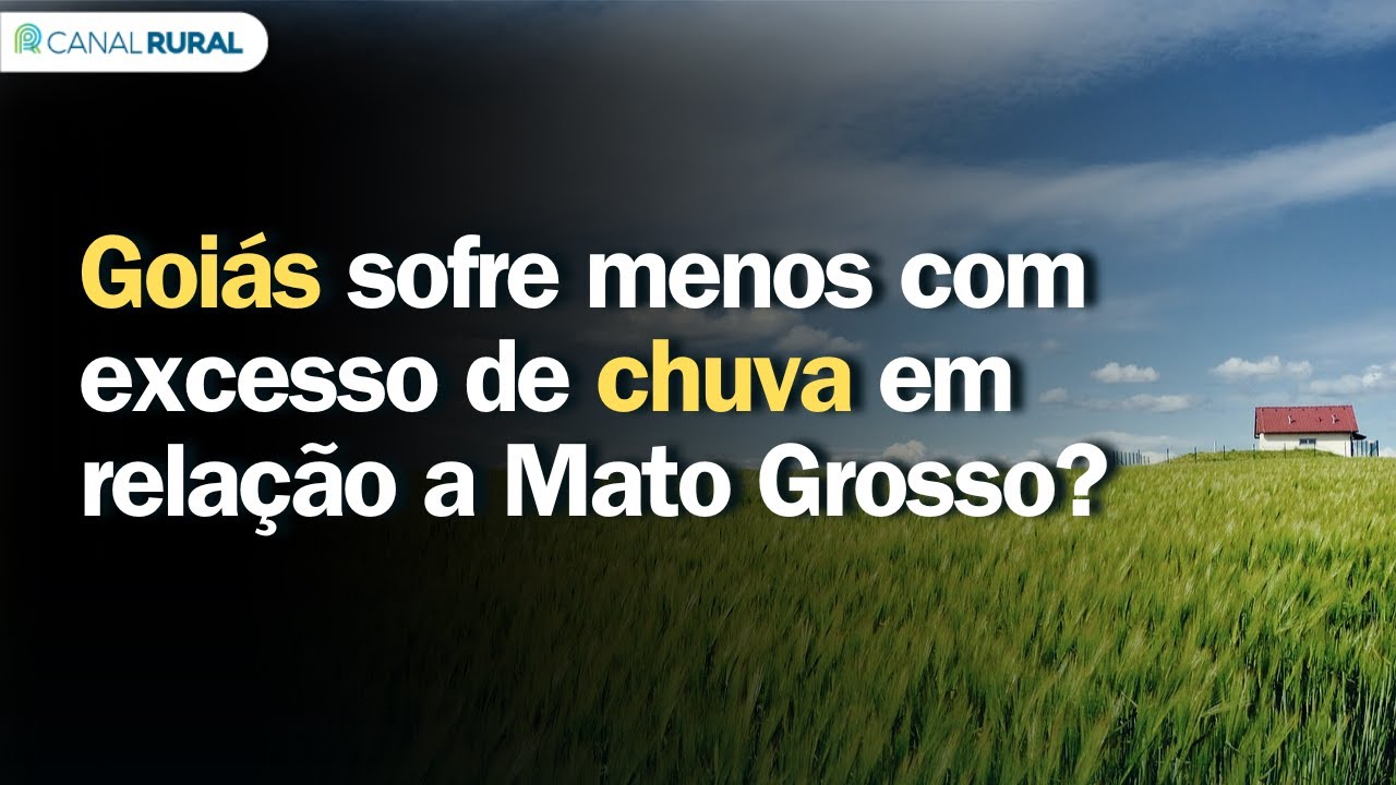 Otimista com produtividade, Goiás sofre menos com excesso de chuva em relação a MT?