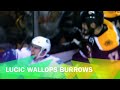 Lucic slugs Burrows
