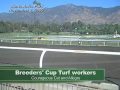 Breeders' Cup turf workers, Santa Anita, 11-2-09