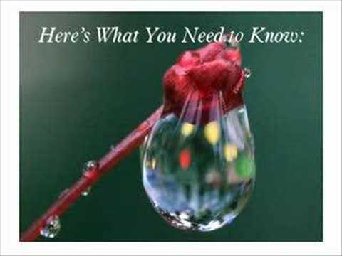 bette-dowdell bette-dowdell
