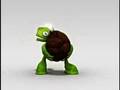 Crazy Turtle