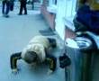 face-sporturi-extrem
