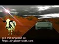 ciam-the-journey.html