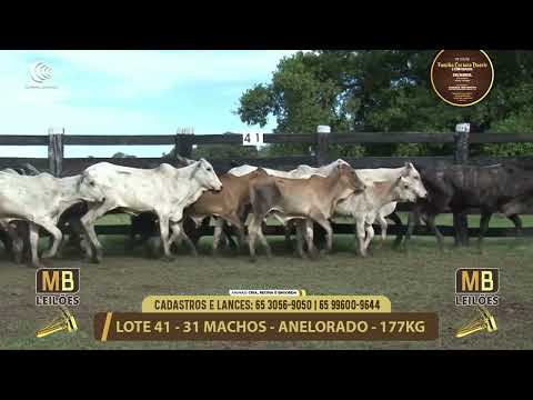 11� LEIL�O FAM�LIA LUCIANO DUARTE E CONVIDADOS