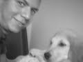 Polo, my lovely puppy golden retriever