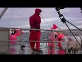RED WAR (Halibut fishing Kodiak Alaska.)