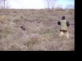 Ver vídeo