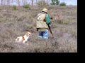 Ver vídeo