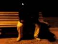 videos de La pota