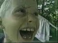 videos graciosos