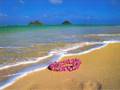 Love Me More - Elucidate & Alex Morph (Elucidate Remix)