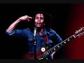 Bob Marley Get up stand up at Santa Cruz USA ( Late show) 1979