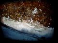 UNSTANDARD CASE=LARGE HUDSON HIGHILINE FOOTING