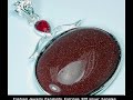 925 Silver Pendant Jewelry Photo Collection Ringsmyth 6 925 Silver Pendant Jewelry Photo Collection Ringsmyth 6