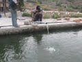 MOLINO DE VIENTO