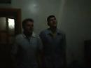 halayc?lar halayc?lar