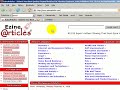 drive targeted website traffic