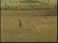 videos de NWA EP#8 The Badlands Pt.03