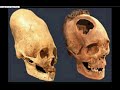 cryptozoology - real, or fake?
