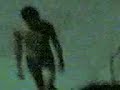 follie di mezzanotte follie di mezzanotte