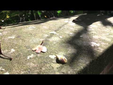how to use xperia t camera