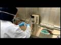 Cells for Life - National Medical Report