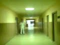 THE LAST THING FOR SVOZINKA