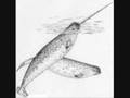videos de Narwhal-Pony vs. Mandrill