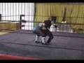 videos de Mickey McCoy Vs Steve Blainard Highlight Music Video