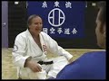 The Martial Arts by JoelSamuel The Martial Arts by JoelSamuel