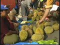 bengkulu