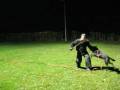 videos de Yaro eig A.Luyken