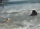 yesie and den at the beach