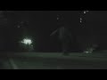 Freeline Skates [Free Arang]