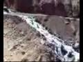 videos de Paseo con Aníbal en Noviembre 2008