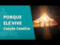 Assistir ao v�deo