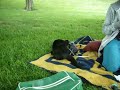so macht man einen purzelbaum
