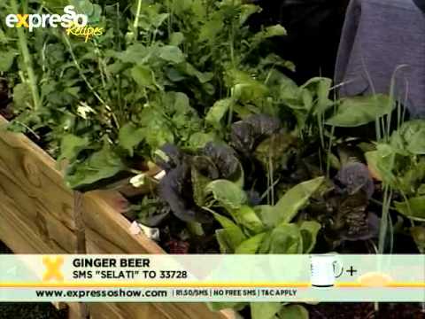 Selati: Ginger beer (4.10.2012)